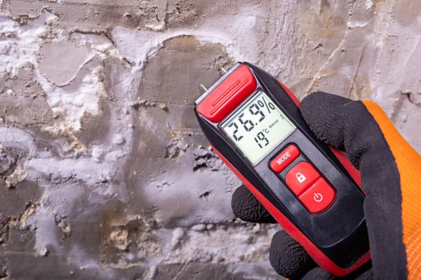 Best Residential Mold Removal  in Lower Lake, CA