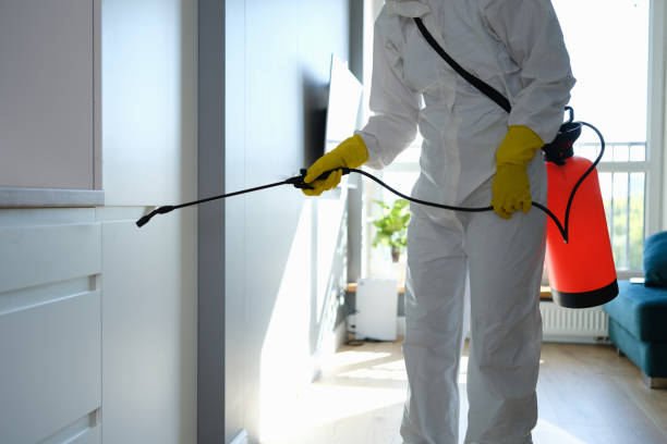 Best Commercial Mold Removal  in Lower Lake, CA